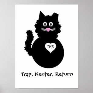 TNR - Fuzzy Kitty Poster
