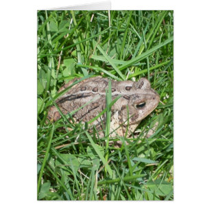 Toad dans l'herbe