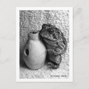 Toad frog Halten udu Schlagzeug Foto Postkarte