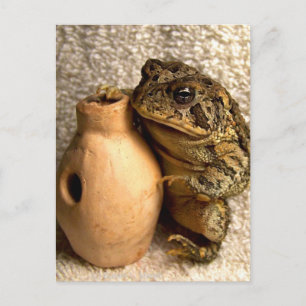 Toad frog mit Miniaturansicht Postkarte