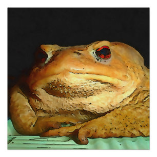 Toad mit philosophischer Disposition Malerei Poster