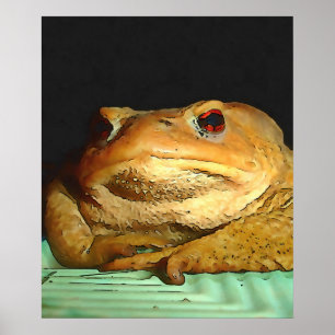 Toad mit philosophischer Disposition Malerei Poster