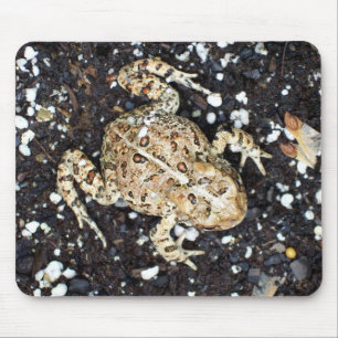 Toad Mousepad