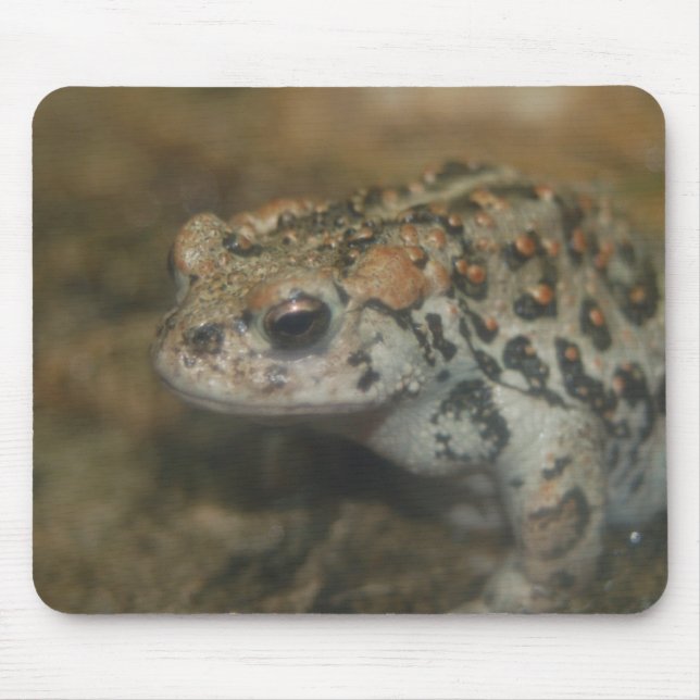 Toad Mousepad (Vorne)
