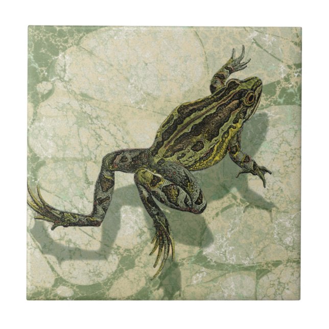 Toad Swinning im Wasser Fliese (Vorderseite)
