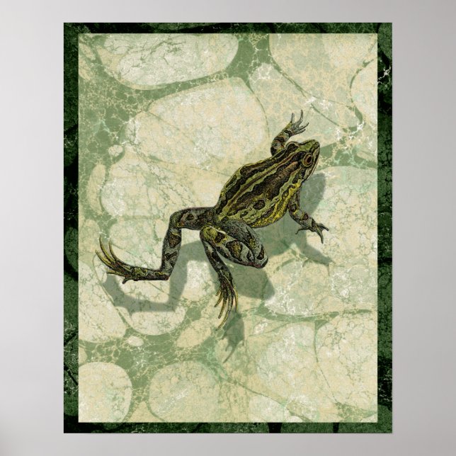 Toad Swinning in the Water Poster (Vorne)