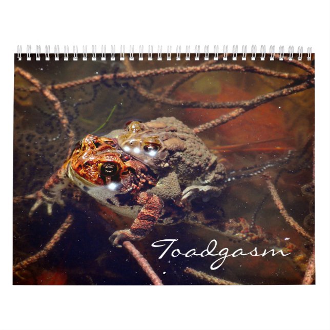 Toadgasmus Kalender (Titelbild)