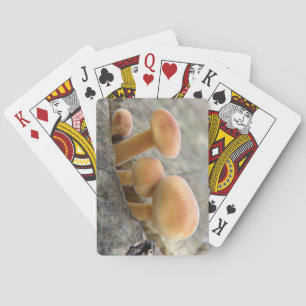 Toadstocker auf einem Baumstamm spielen Karten Spielkarten