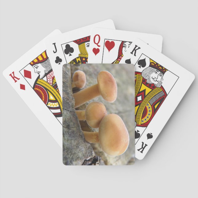 Toadstocker auf einem Baumstamm spielen Karten Spielkarten (Rückseite)
