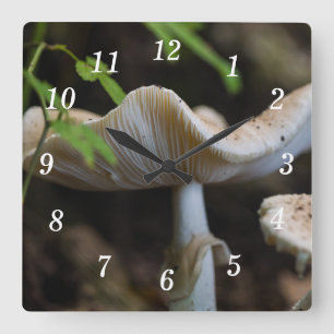 Toadstol Schirmwand Quadratische Wanduhr