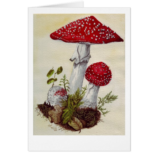 Toadstool (Vorne)