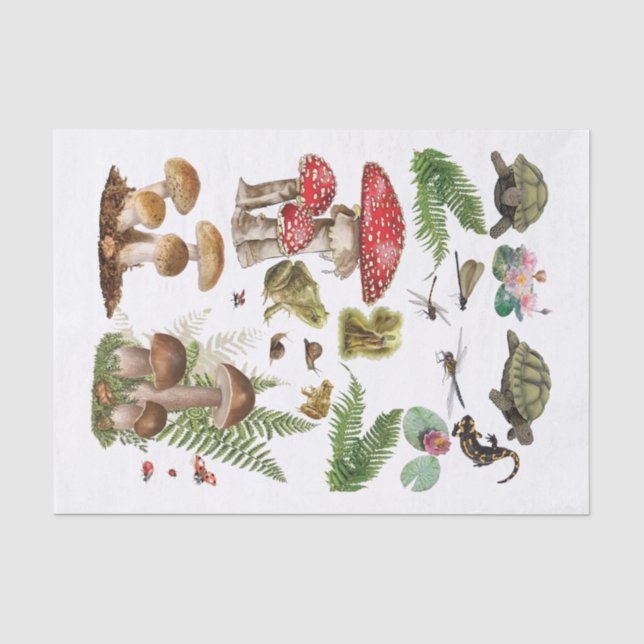 Toadstool entcoupage Papier Waldelemente (Vorderseite)