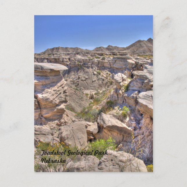 Toadstool Geological Park, Nebraska Postkarte (Vorderseite)