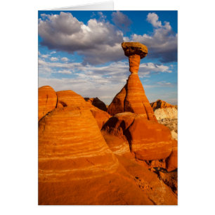 Toadstool-Nachmittag