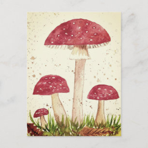 Toadstool Pilzwald Aquarell Rote Natur Postkarte