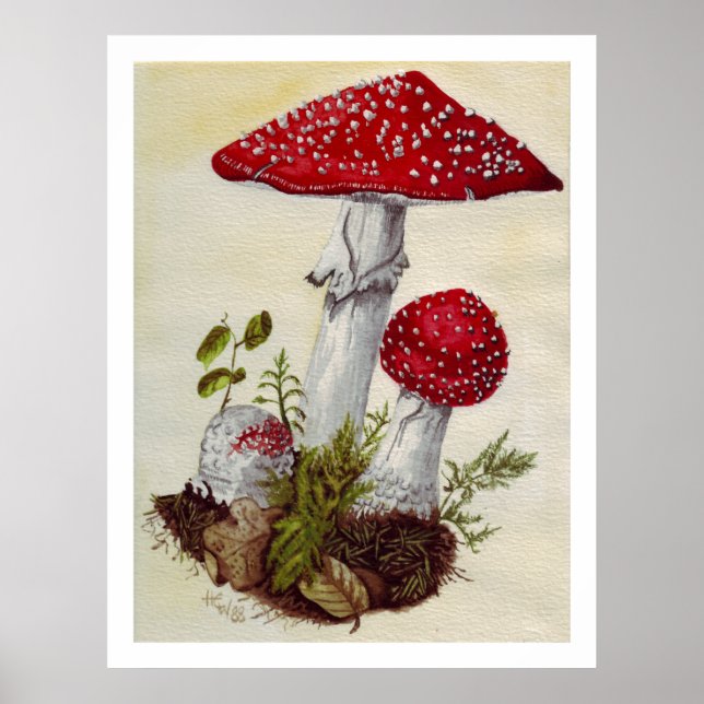 Toadstool Poster (Vorne)