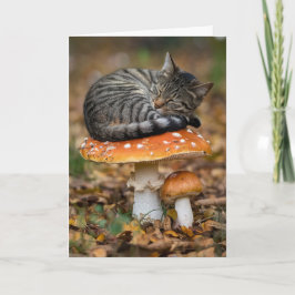 Toadstool Tabby Faltkarte Karte