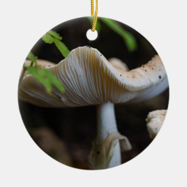 Toadstool Umbrella Keramik Ornament (Vorne)