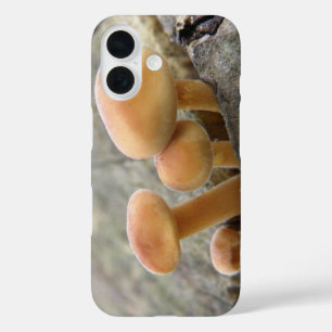 Toadstools auf einem Tree Trunk iPhone Case