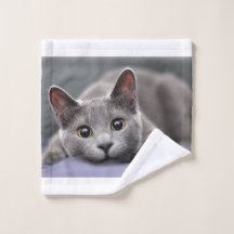 Toalla de gato azul ruso