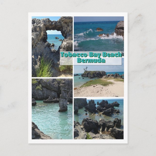 Tobacco Bay Beach, Bermuda Postkarte (Vorderseite)