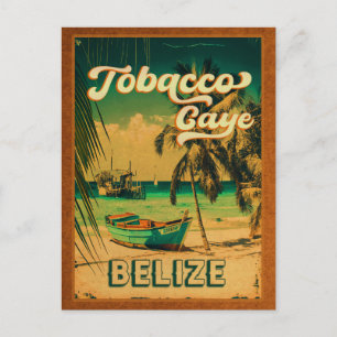 Tobacco Caye Belize Vintag Palm Trees Souvenirs Postkarte