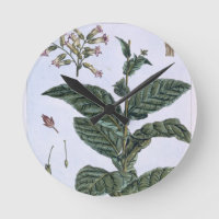 Tobacco Plant, Plattform 7, from 'Precieuse Collec