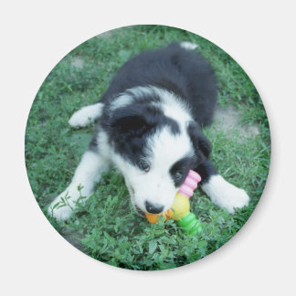 Toby3 Magnet