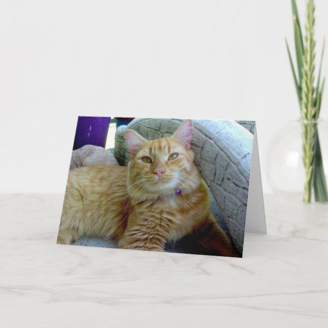 Toby die Katzen-Gruß-Karte Karte (Vorderseite)
