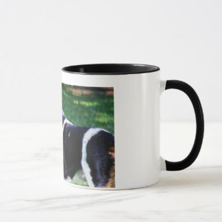 Toby-Tasse Tasse