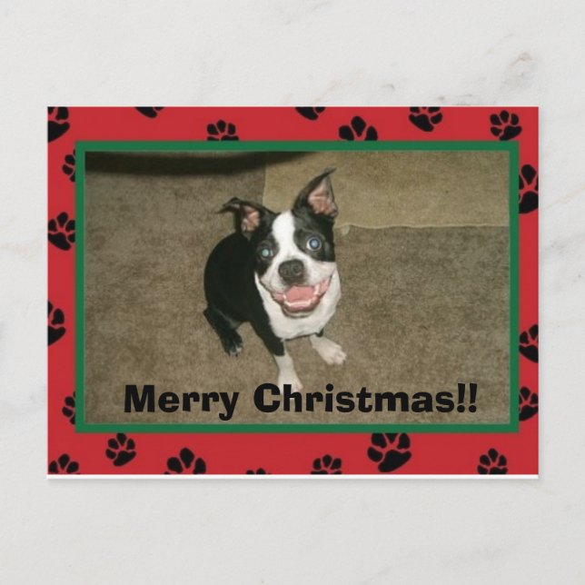 tobyxmascard, Frohe Weihnachten!! Feiertagspostkarte (Vorderseite)