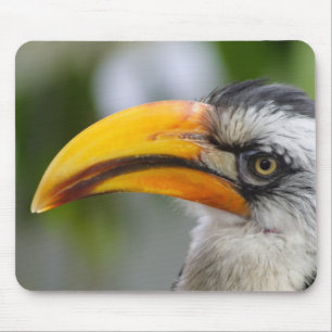 Tockus leucomelas mousepad