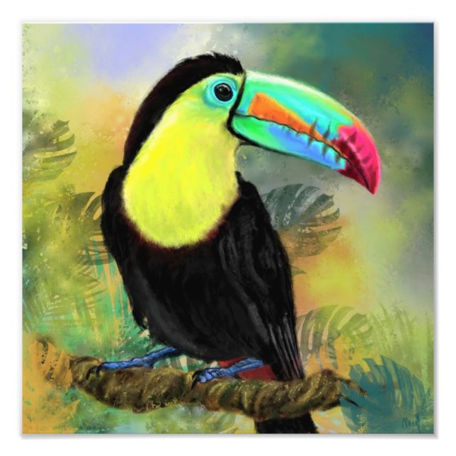 Toco Toucan Bird Wasserfarbe Malteposter drucken Fotodruck (Vorne)