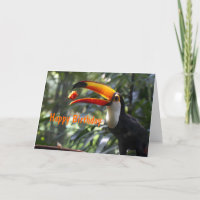 Toco Toucan Geburtstags-Karte