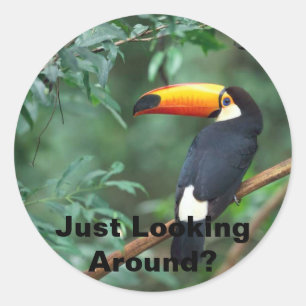 Toco Toucan, gerade herum schauend? Runder Aufkleber