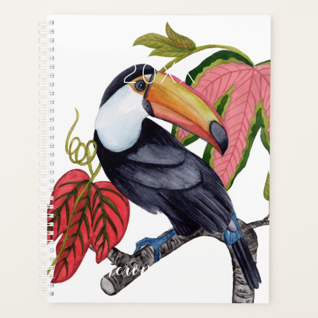 Toco Toucan Planer (Vorderseite)