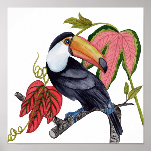 Toco Toucan Poster (Vorne)