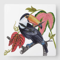 Toco Toucan