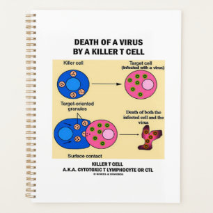 Tod eines Virus durch eine tödliche T-Zell-Immunol Planer