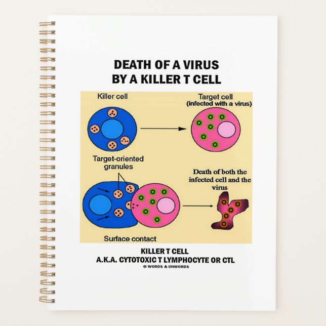 Tod eines Virus durch eine tödliche T-Zell-Immunol Planer (Vorderseite)