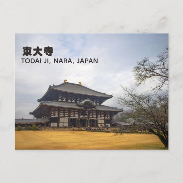 Todai-ji 東 大 Nara, Japan Travel Postkarte (Vorderseite)