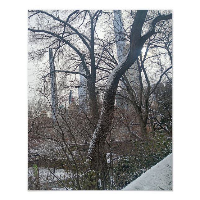 Today in New York City Central Park Fotodruck (Vorne)