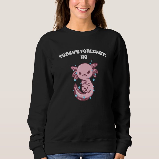 Todays Forecast No Sarcastic Funny Sarcasm Humor D Sweatshirt (Vorderseite)