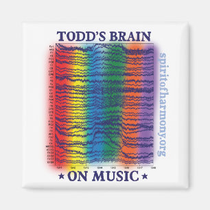 Todd-Gehirn Magnet