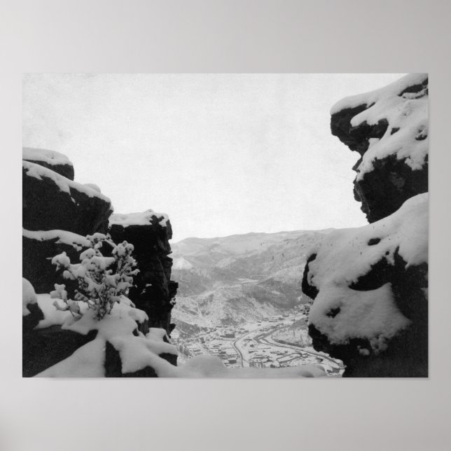 Todesholz, wie aus dem Foto von White Rocks gesehe Poster (Vorne)