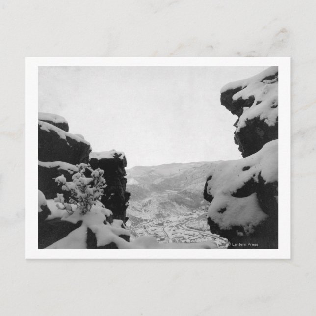 Todesholz, wie aus dem Foto von White Rocks gesehe Postkarte (Vorderseite)