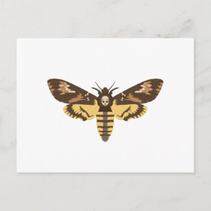 Todeskopfmoth Postkarte