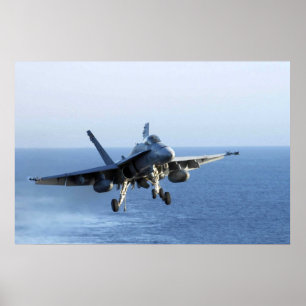 TODESRATTLERS F-18 POSTER