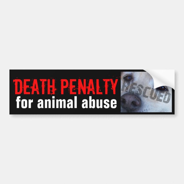 TODESstrafe FÜR TIERmissbrauchs-Autoaufkleber Autoaufkleber (Vorne)