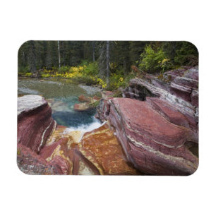 Todholzfallen auf Reynolds-Bucht im Herbst Magnet